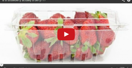 Food News Today: Is a strawberry actually a berry? (video)