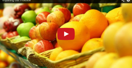 The Lempert Report: Importing our produce (video)